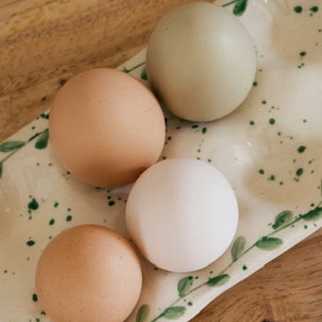 Spring Leaf Dozen Egg Tray