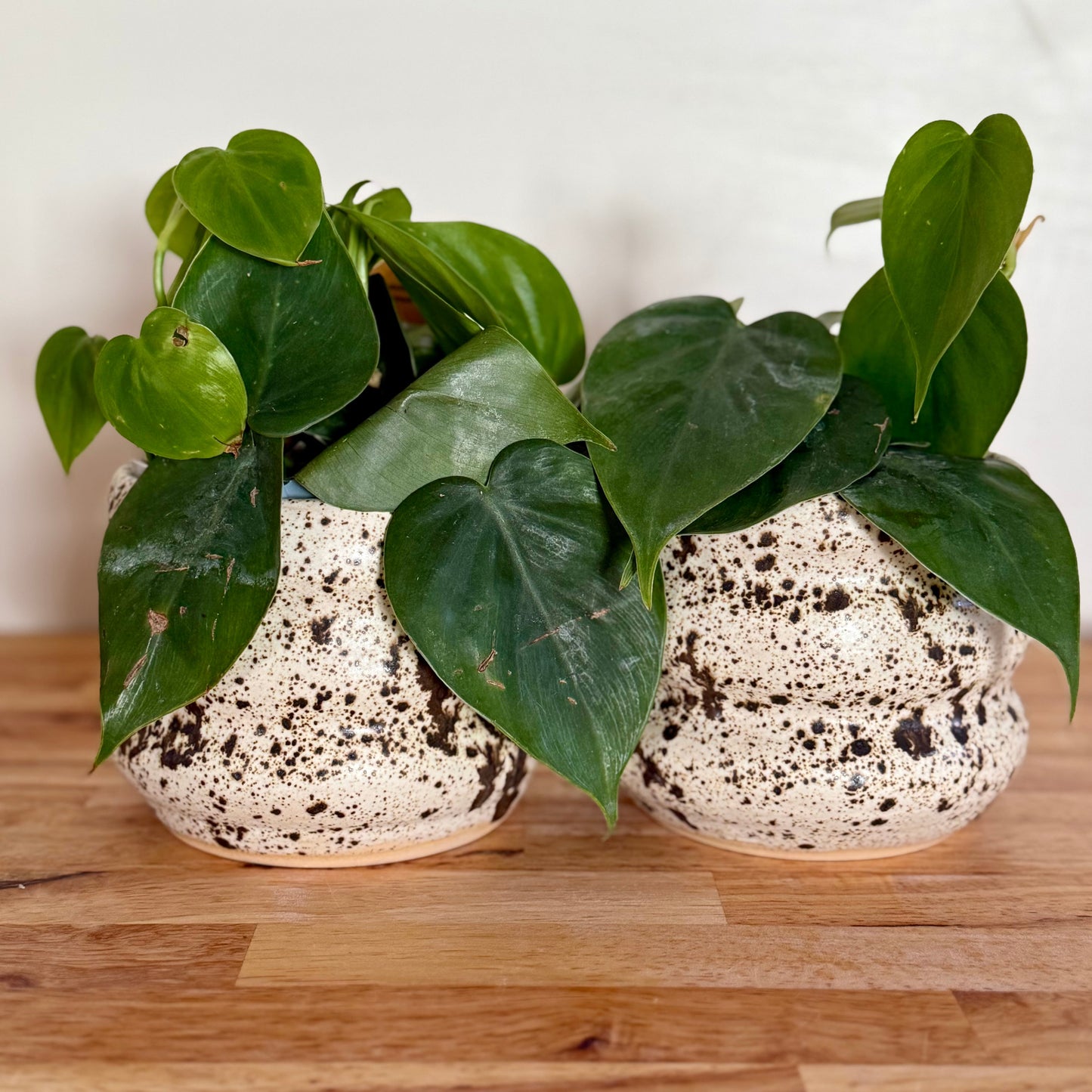 Winterwood Bubble Pot
